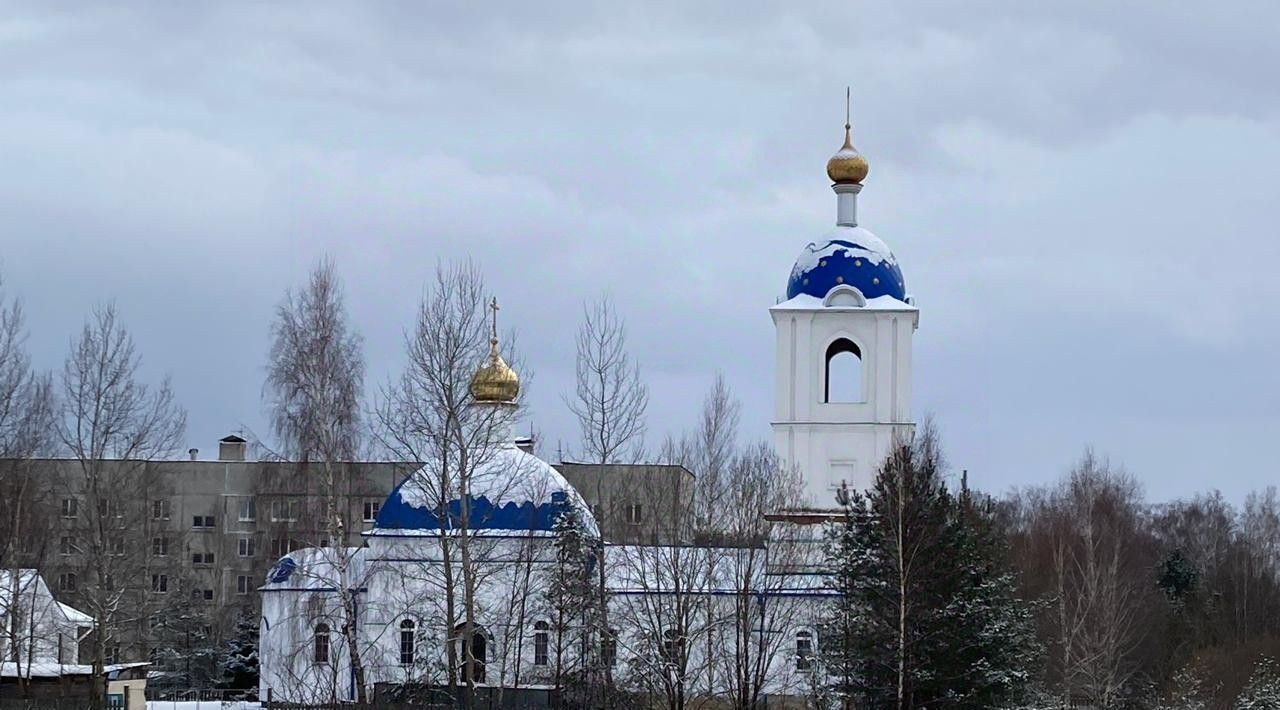 дом городской округ Раменский п Рылеево фото 39