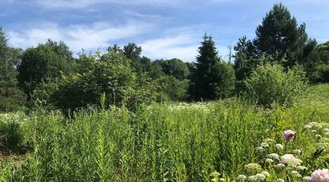 г Окуловка ул Николая Николаева 59 Окуловское городское поселение фото