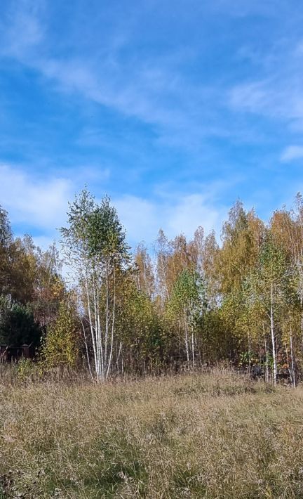 земля р-н Верхнеуральский п Смеловский Кирсинское с/пос, ул. Большая фото 2