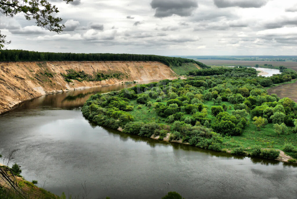 земля р-н Рамонский д Кулешовка Горожанское сельское поселение фото 5