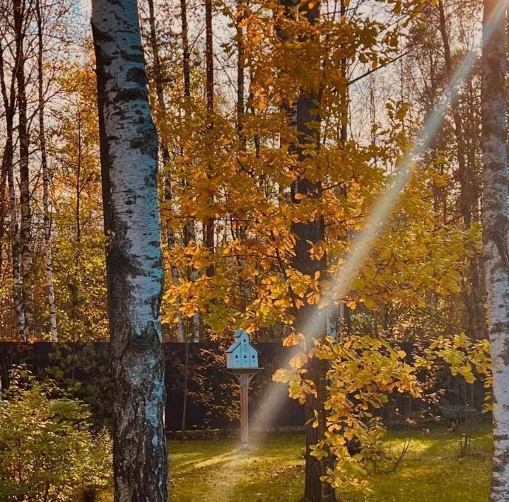 дом р-н Всеволожский Сертоловское городское поселение, Памир кп, 15 фото 12