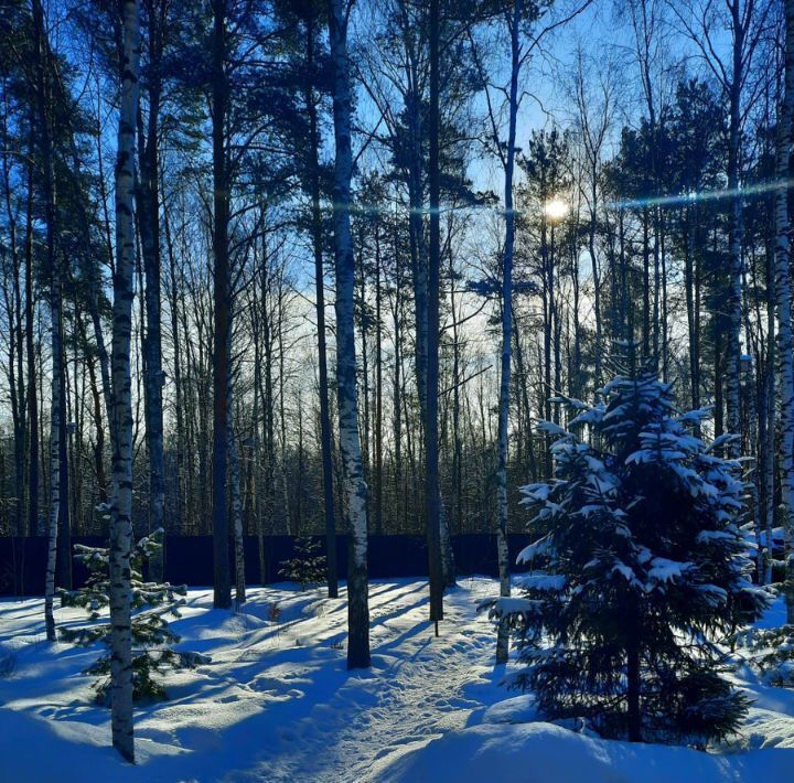 дом р-н Всеволожский Сертоловское городское поселение, Памир кп, 15 фото 14