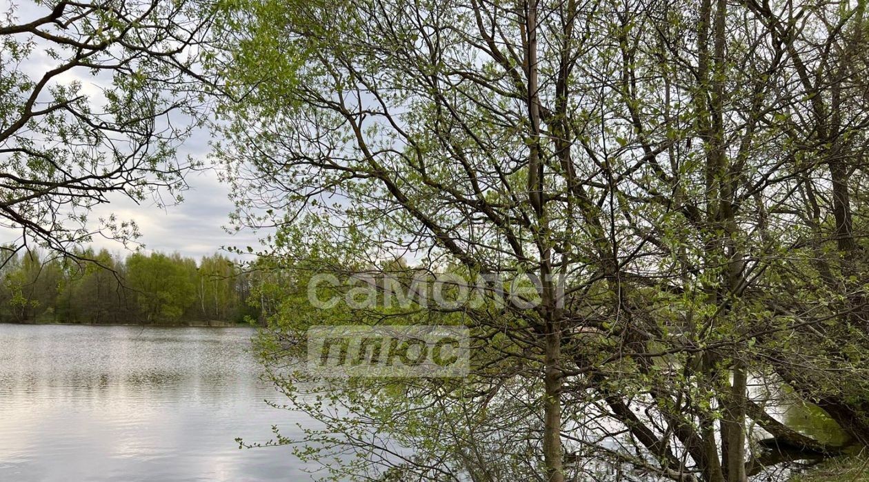 земля городской округ Раменский с Салтыково фото 5