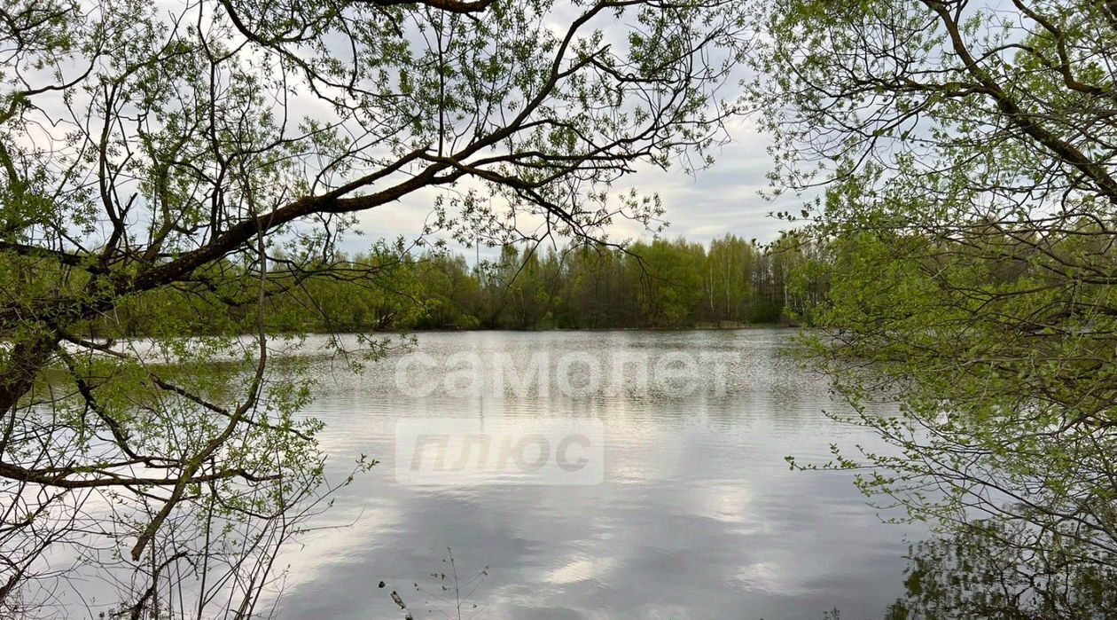 земля городской округ Раменский с Салтыково фото 9