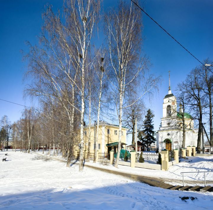 дом городской округ Сергиево-Посадский с Васильевское фото 3