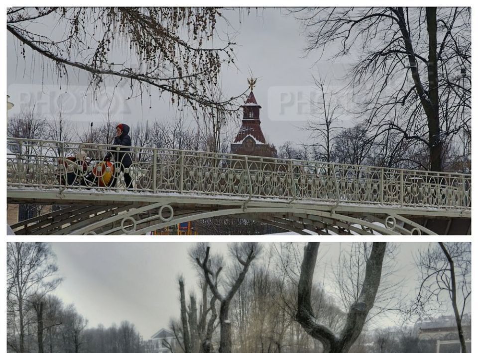 квартира г Санкт-Петербург метро Чернышевская Пески ул Таврическая 19 округ Смольнинское фото 20