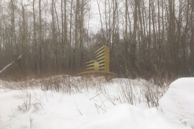 Дзержинский, Новосибирск городской округ фото