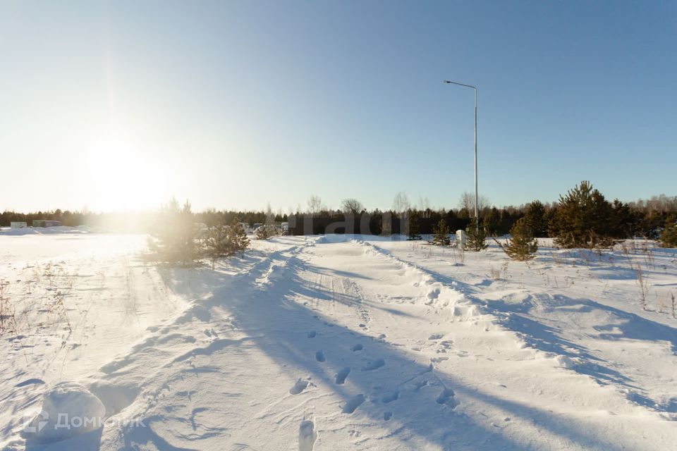 земля р-н Тюменский фото 3