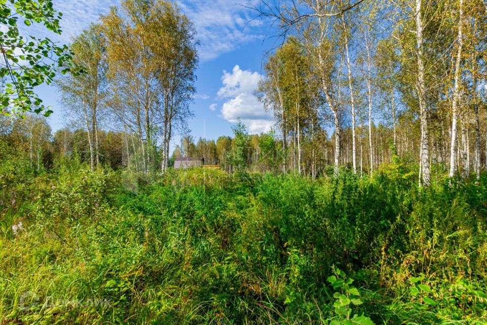 земля р-н Нижнетавдинский СНТ Сундукуль фото 4