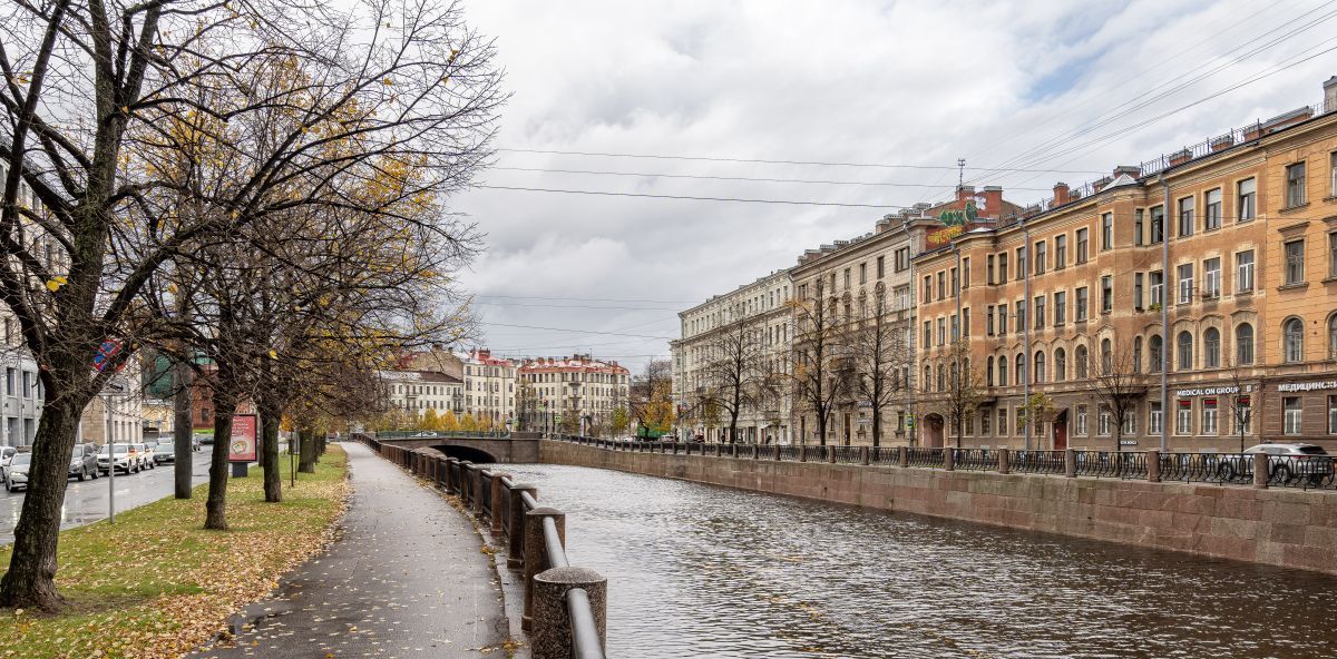 свободного назначения г Санкт-Петербург метро Петроградская наб Реки Карповки 31к/1 округ Чкаловское фото 21