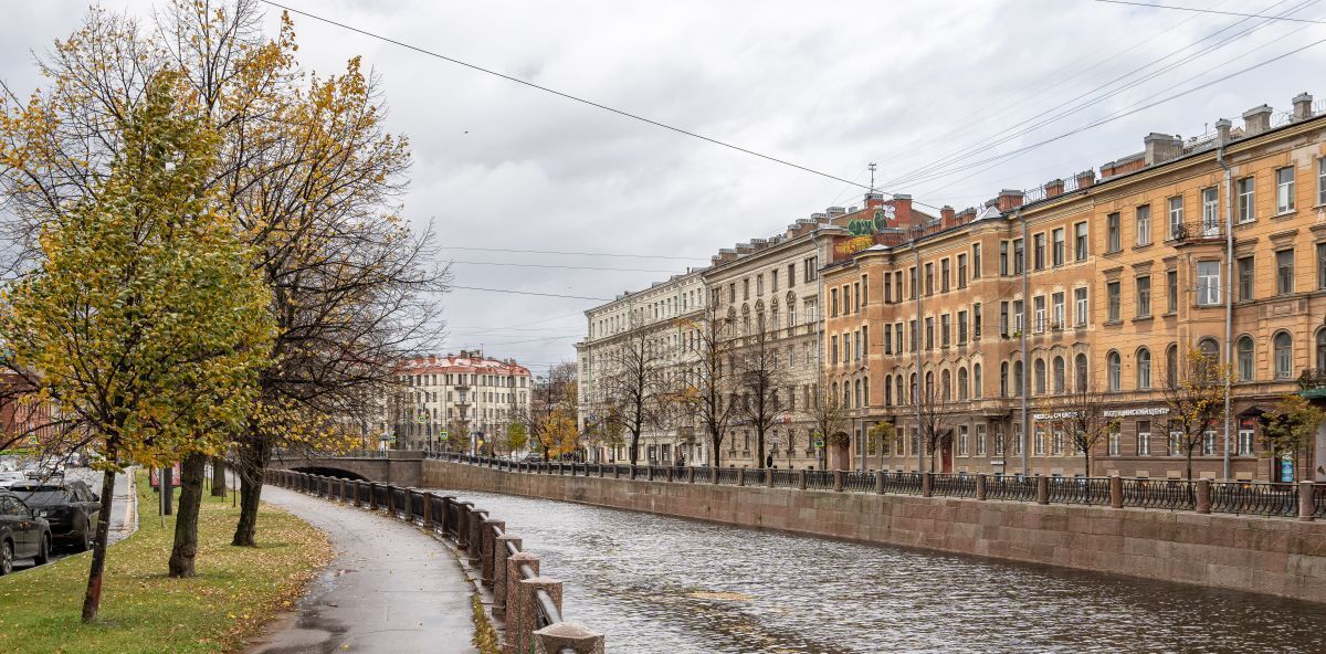 свободного назначения г Санкт-Петербург метро Петроградская наб Реки Карповки 31к/1 округ Чкаловское фото 7