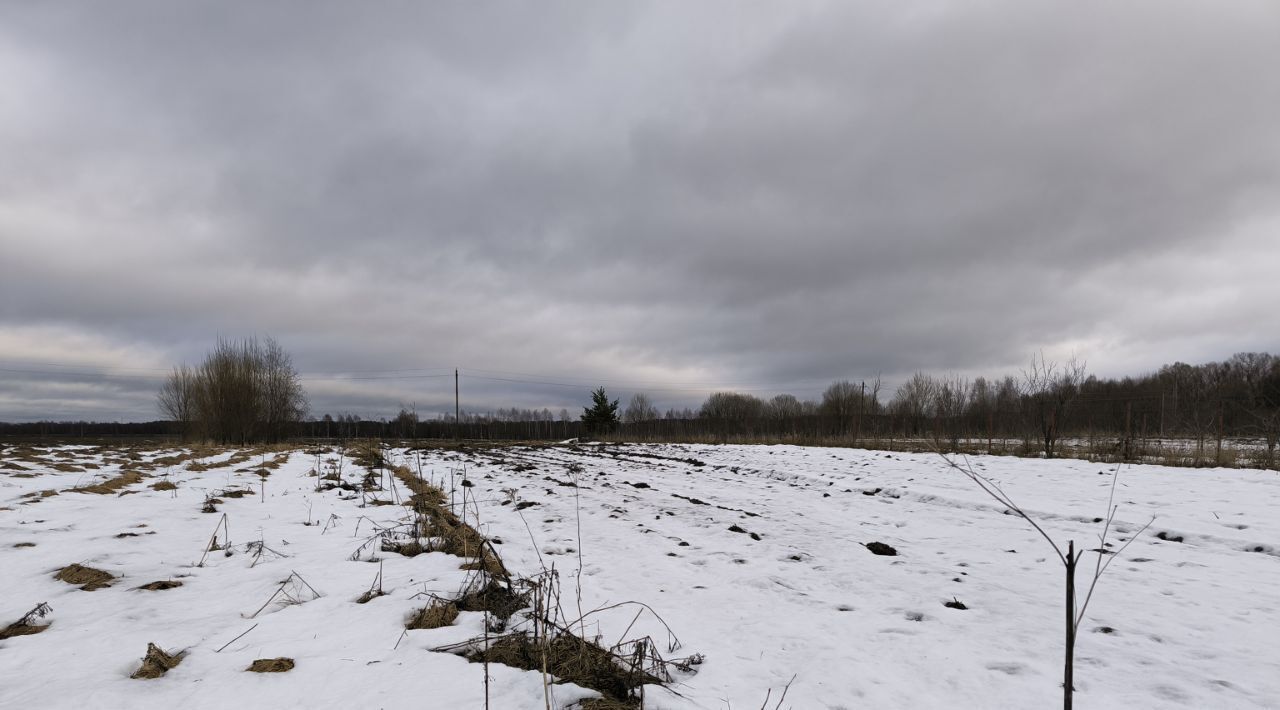 земля городской округ Лотошино д Воробьево фото 1