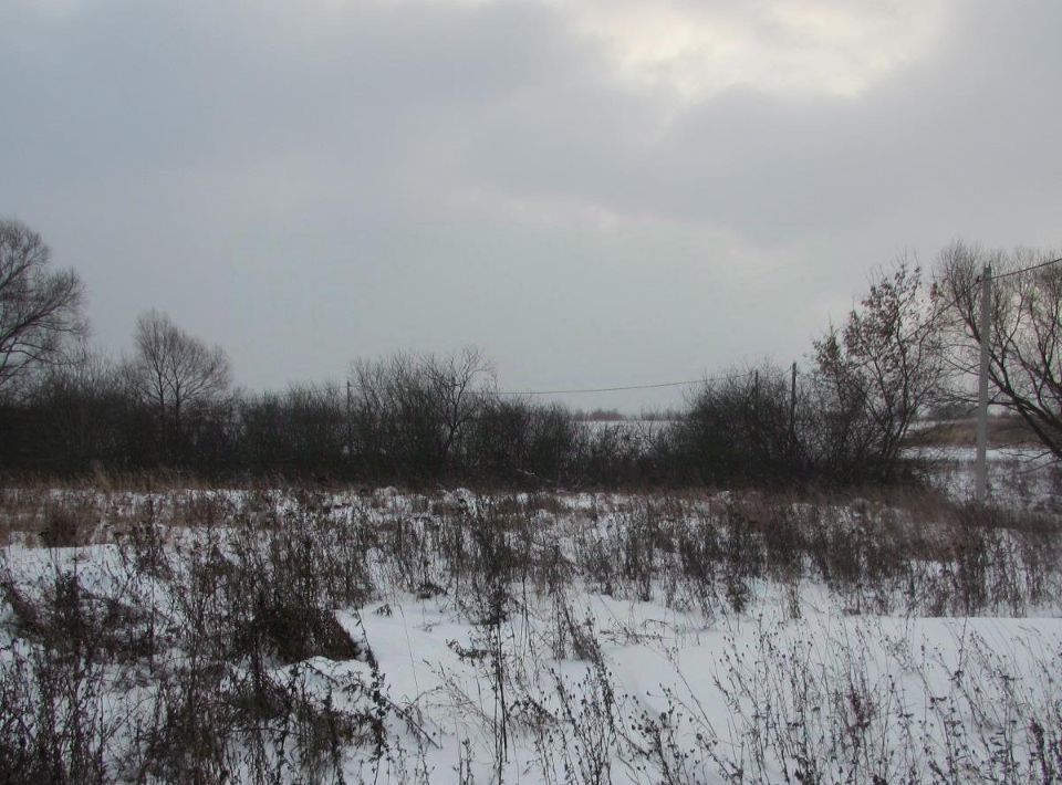 земля городской округ Коломенский д Сычёво Коломна городской округ фото 1