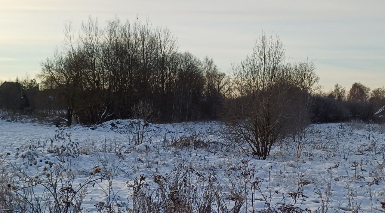 земля городской округ Наро-Фоминский д Волчёнки фото 1