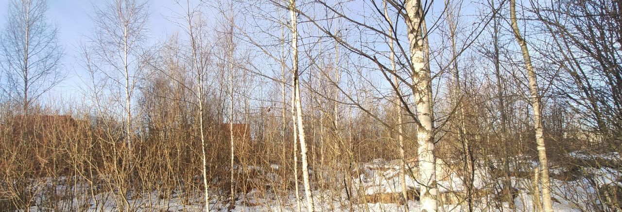 земля городской округ Талдомский п Запрудня ул Первомайская фото 1