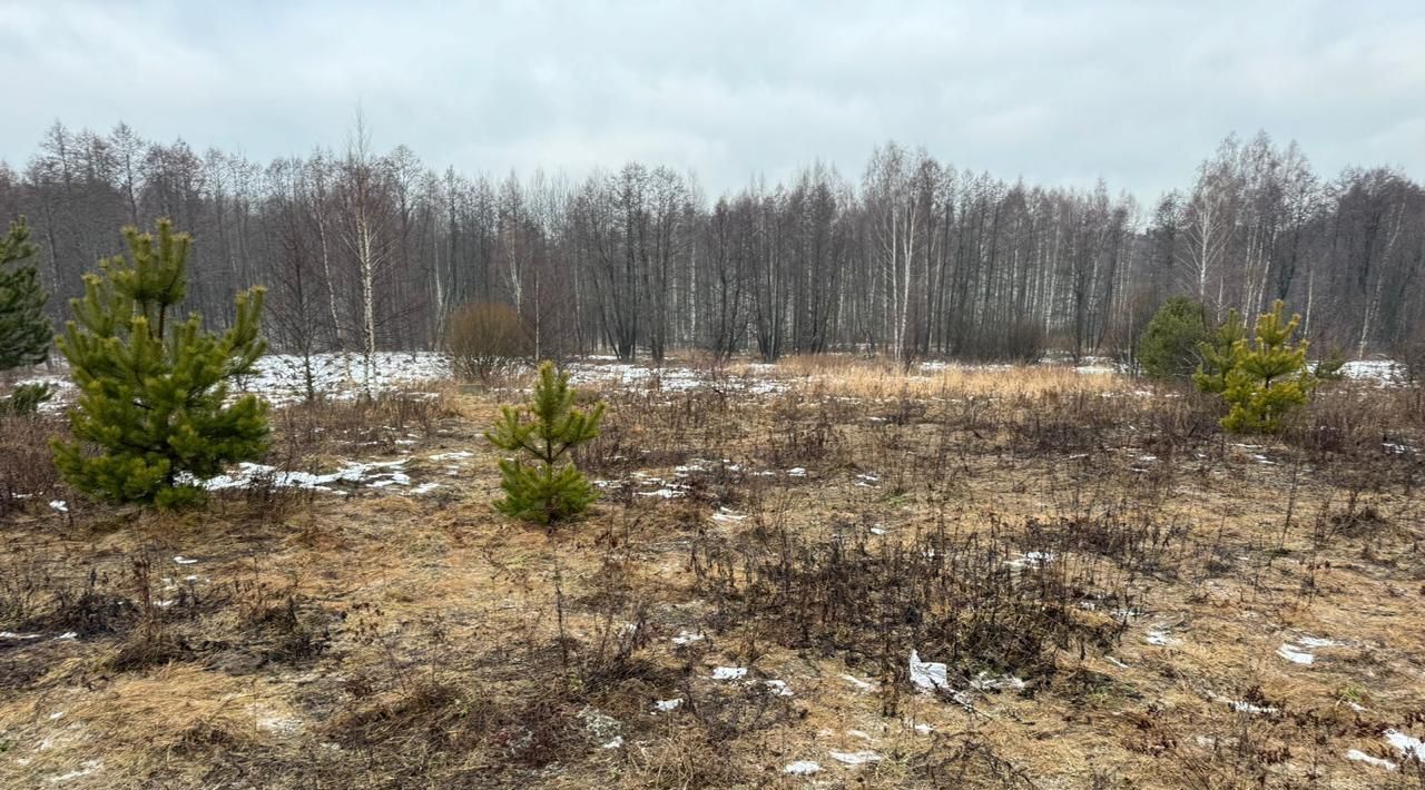 земля городской округ Богородский д Соколово фото 1