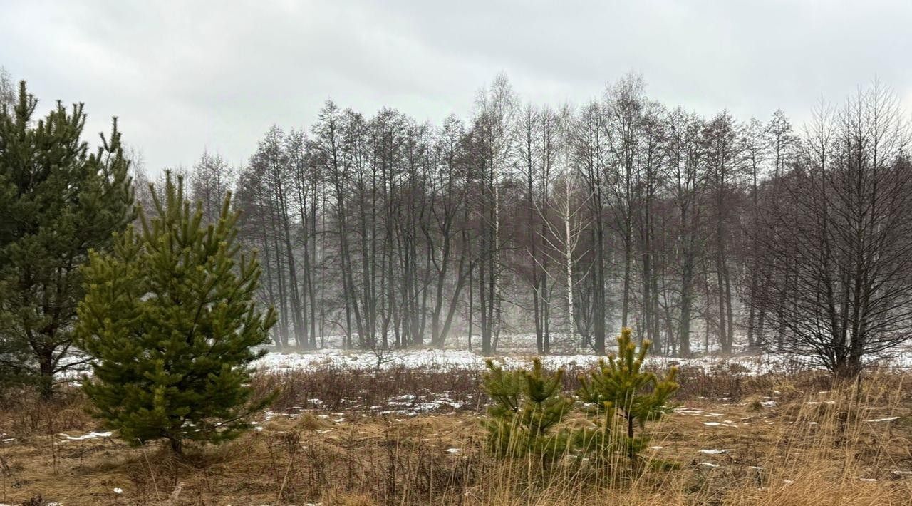 земля городской округ Богородский д Соколово фото 1