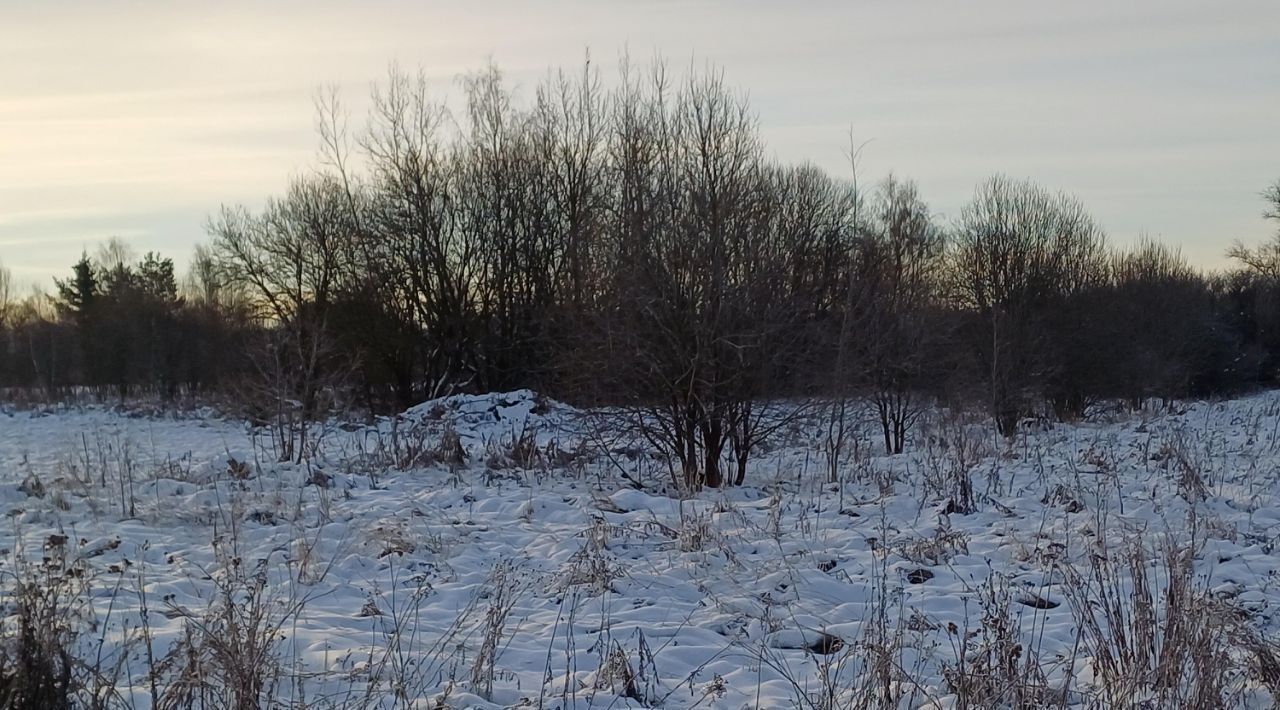 земля городской округ Наро-Фоминский д Волчёнки фото 4