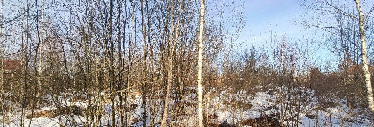 земля городской округ Талдомский п Запрудня ул Первомайская фото 4