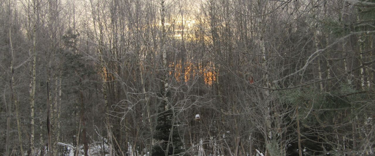 земля городской округ Рузский д Лобково фото 1