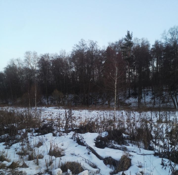 земля городской округ Ступино п Новоселки фото 1