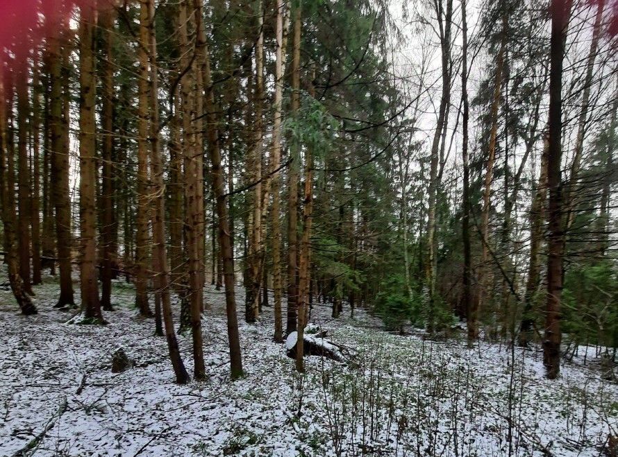 офис городской округ Ступино д Бекетово фото 1