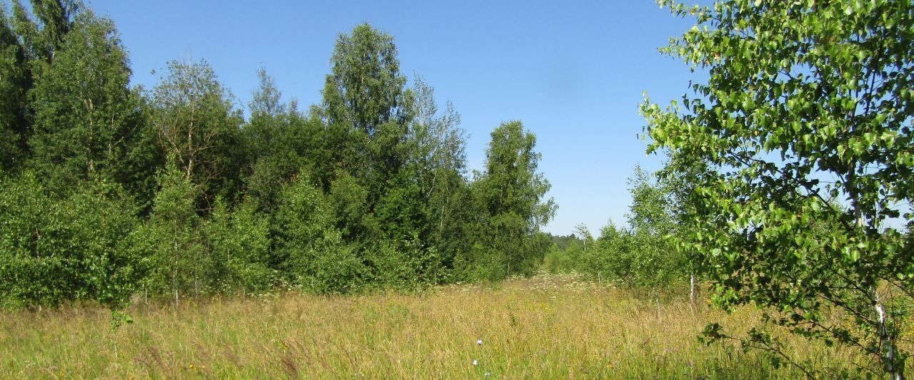 земля городской округ Рузский д Воскресенское фото 2