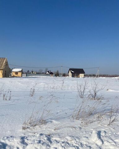 земля снт тер.Сады Приобья Кубовинский сельсовет, 6-я ул, Колывань фото