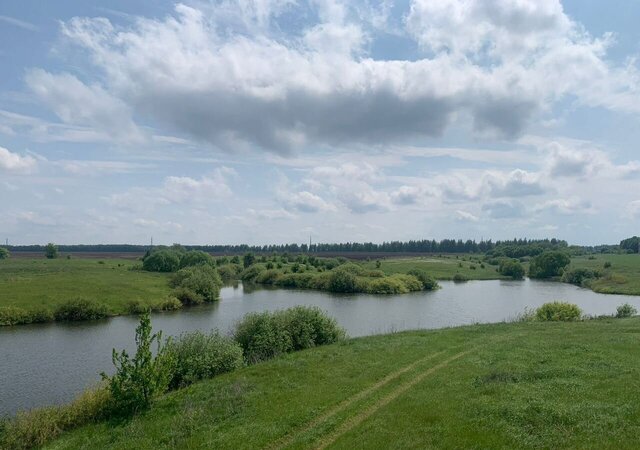 д Сухая Липовица Знаменка фото