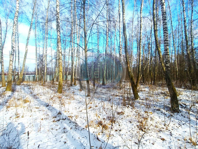 Домодедовская, Мечта снт., Новокаширское шоссе фото