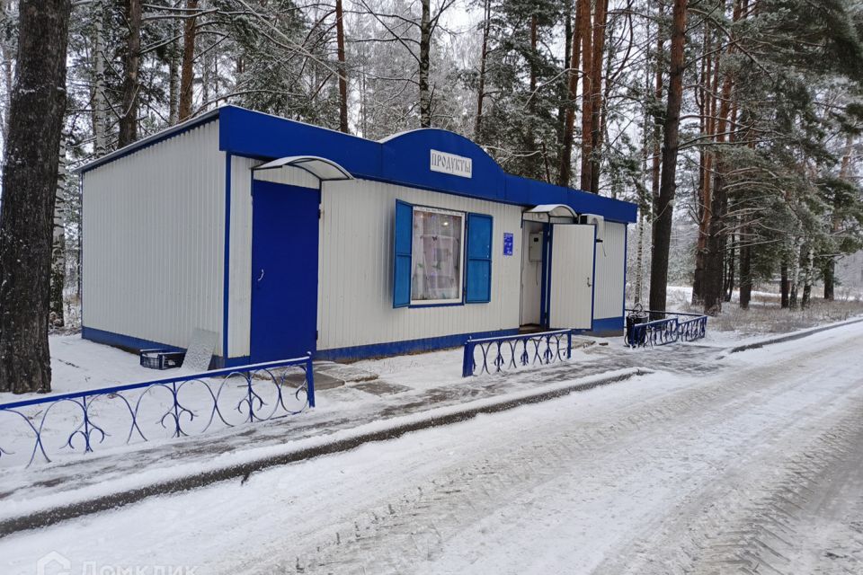 квартира городской округ Шатура посёлок Мещёрский Бор, 1 фото 3