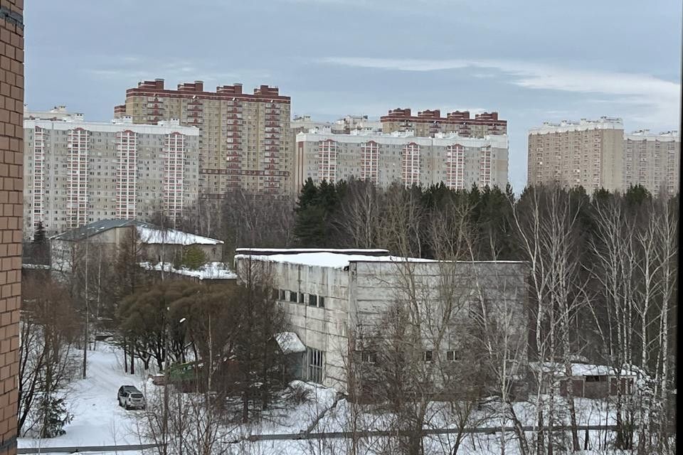 квартира г Балашиха мкр Гагарина ЖК «Булганинский» Балашиха городской округ, 29 фото 9