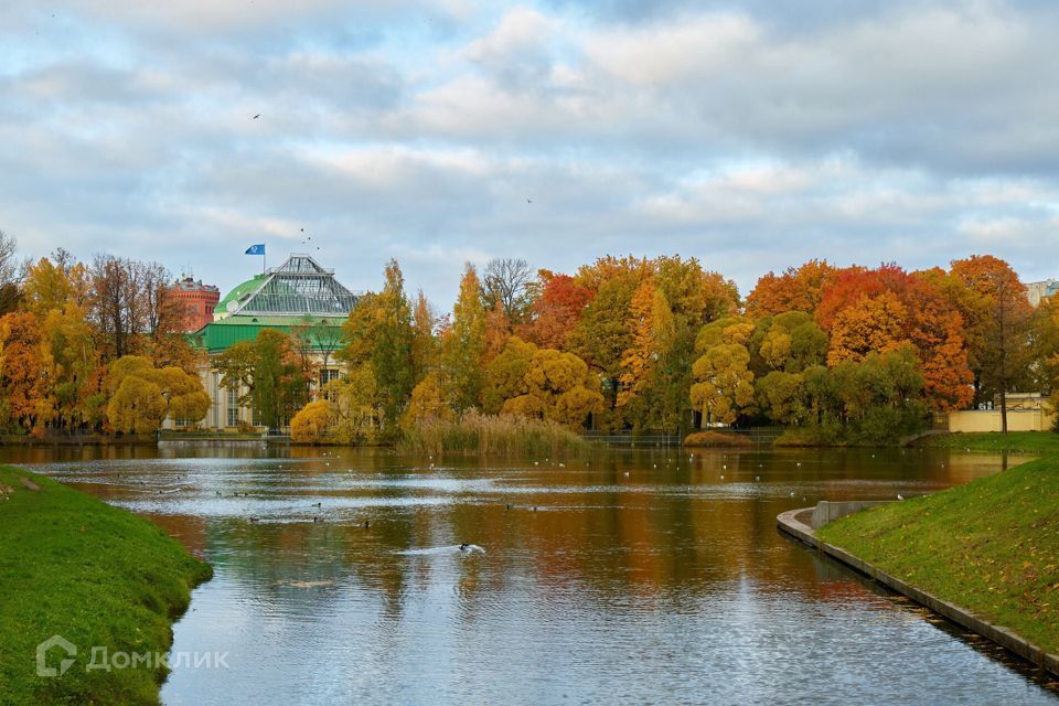 квартира г Санкт-Петербург ул Чайковского 61 Центральный фото 8