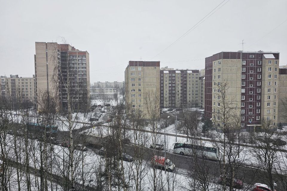 квартира г Санкт-Петербург ул Олеко Дундича 8/1 Фрунзенский фото 10