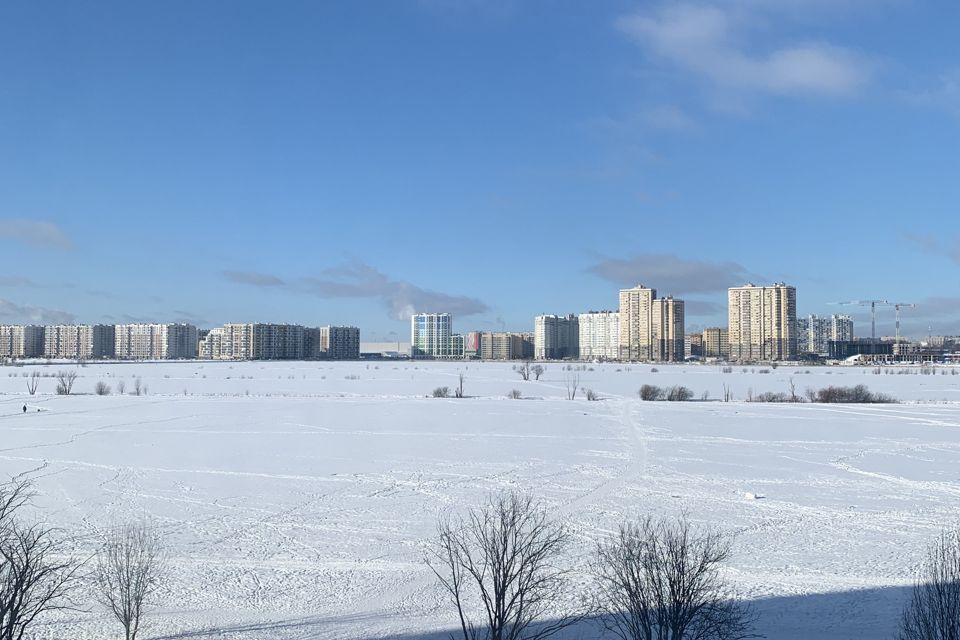 квартира р-н Всеволожский г Мурино б-р Воронцовский 19/1 фото 6