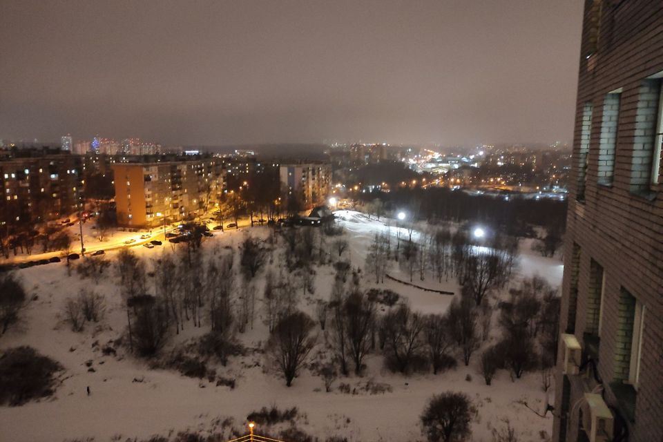 квартира г Нижний Новгород р-н Нижегородский Верхние Печёры ул Германа Лопатина 8 Нижний Новгород городской округ фото 9