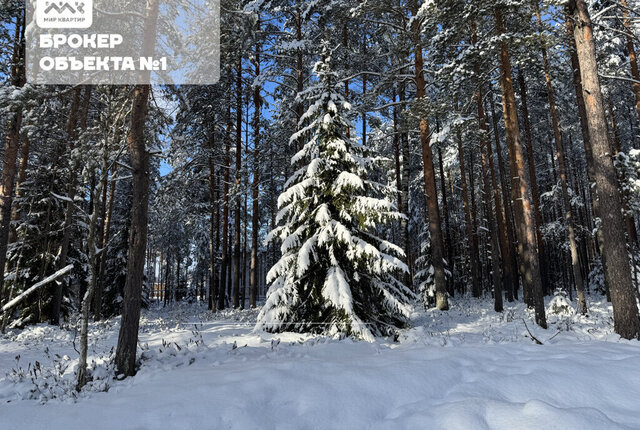 Сертоловское городское поселение, садоводческое некоммерческое партнерство Северная Жемчужина фото