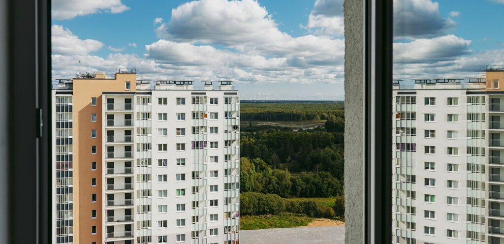 квартира г Санкт-Петербург метро Девяткино р-н Красногвардейский муниципальный округ Полюстрово, жилой комплекс Цветной Город, Ленинградская область фото 5