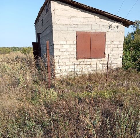 х Моховский Михайловка городской округ фото