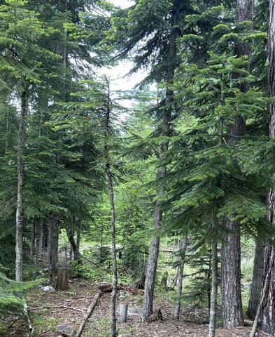 кп Домбай пер Спасателей Теберда фото