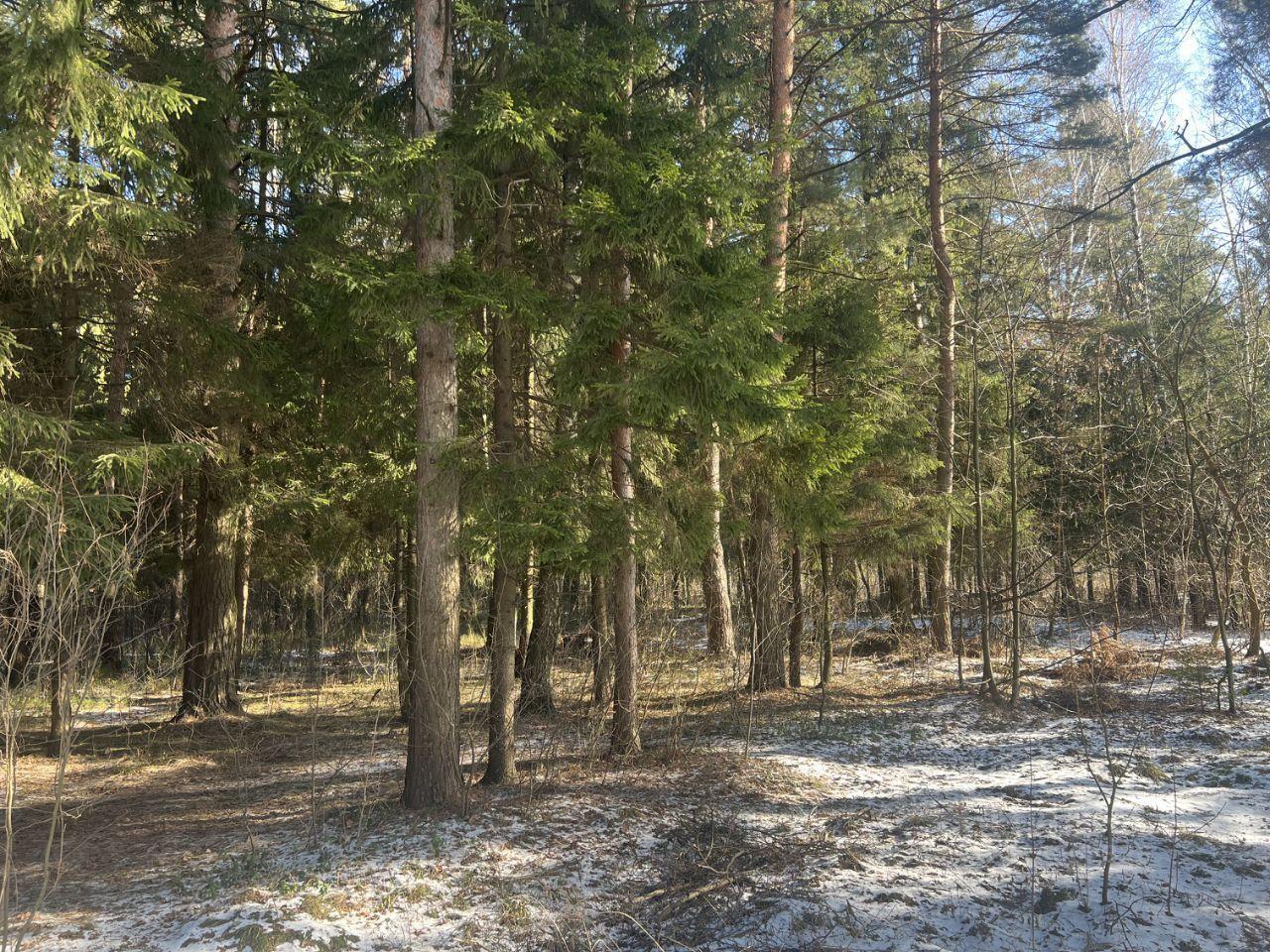 дом городской округ Богородский г Ногинск ул Герцена фото 19