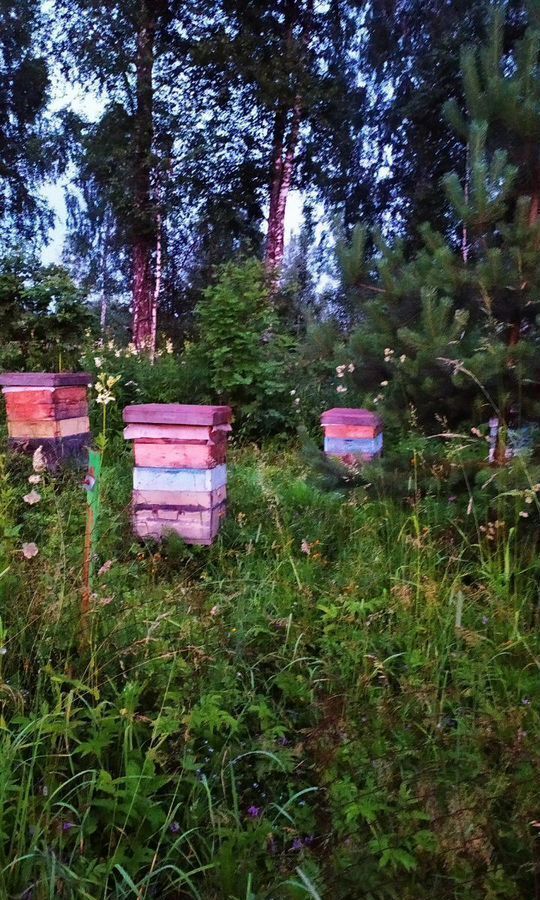 дом р-н Новокузнецкий п Николаевка ул Центральная Кемеровская обл. — Кузбасс, Калтан фото 13