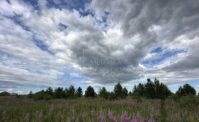 земля Тюмень фото