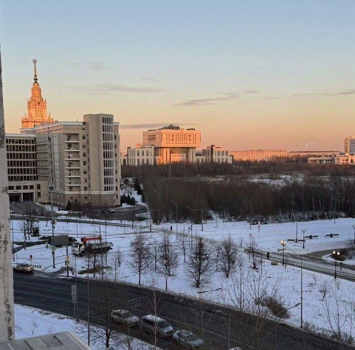 квартира г Москва метро Озерная пр-кт Мичуринский пр-кт Олимпийский 15 деревня фото 8