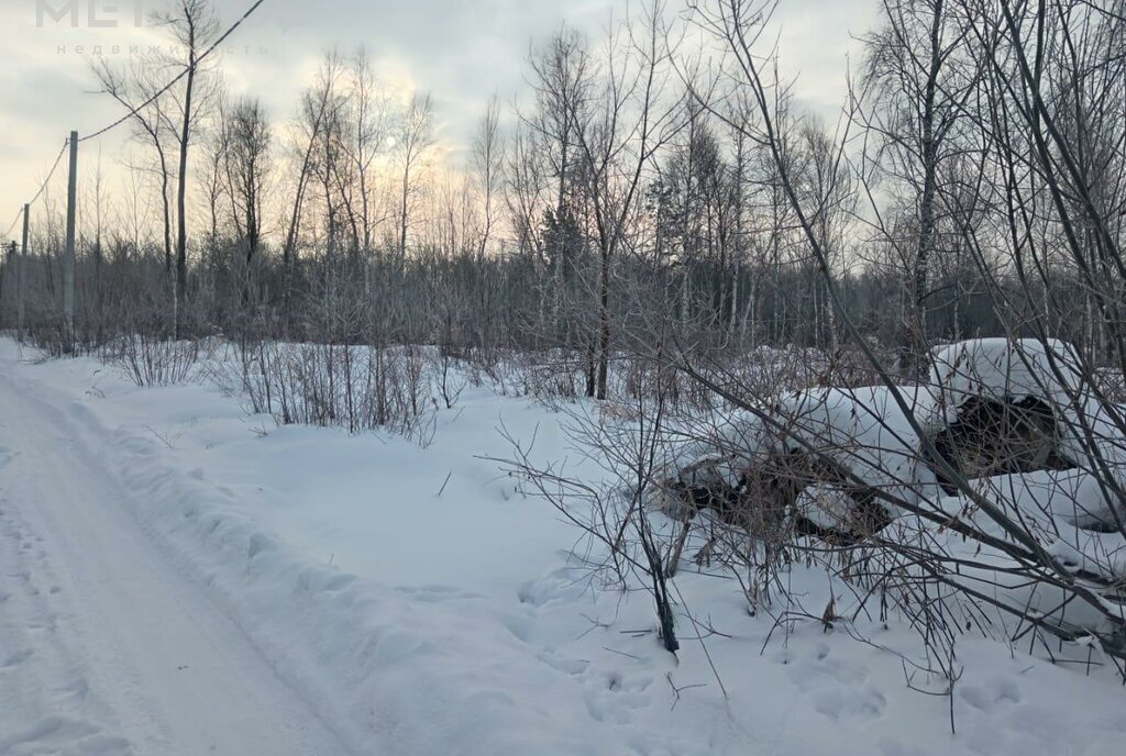 земля г Новосибирск р-н Кировский Площадь Маркса фото 6