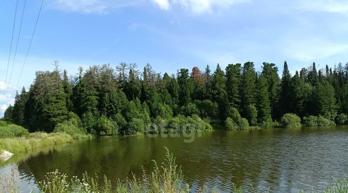 земля г Северск снт Сосна Богашевское с/пос, Томский район фото 9