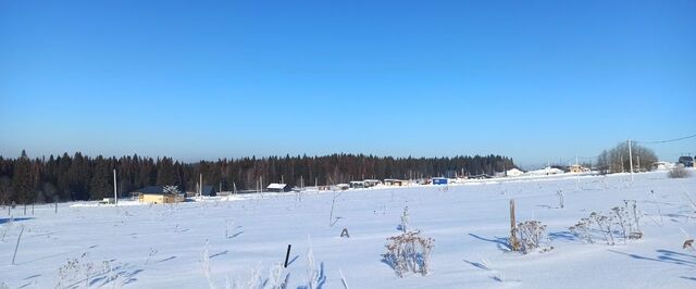 земля п Протасы Култаево фото