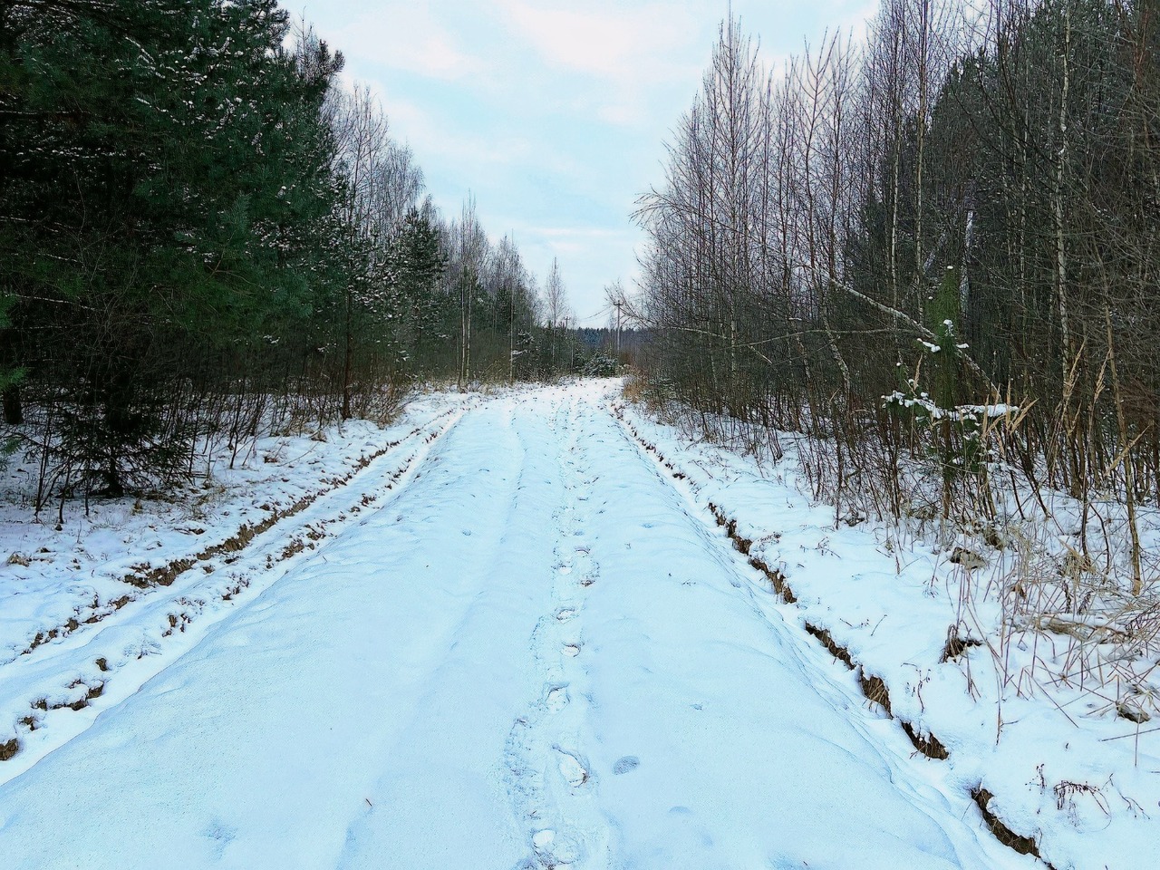 земля городской округ Егорьевск д Сабанино фото 2