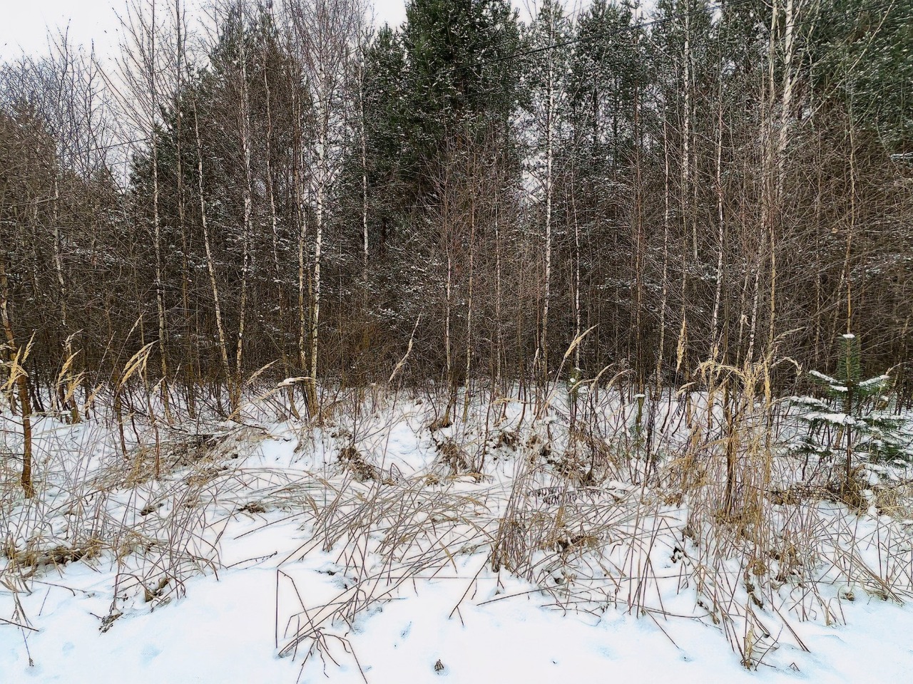 земля городской округ Егорьевск д Сабанино фото 3