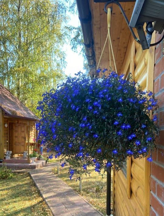 дом городской округ Егорьевск д Панино снт Электрон фото 9